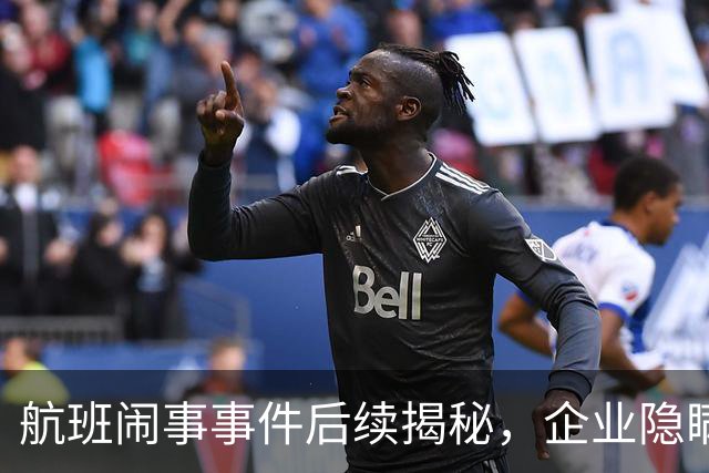 航班闹事事件后续揭秘，企业隐瞒身份的背后真相
